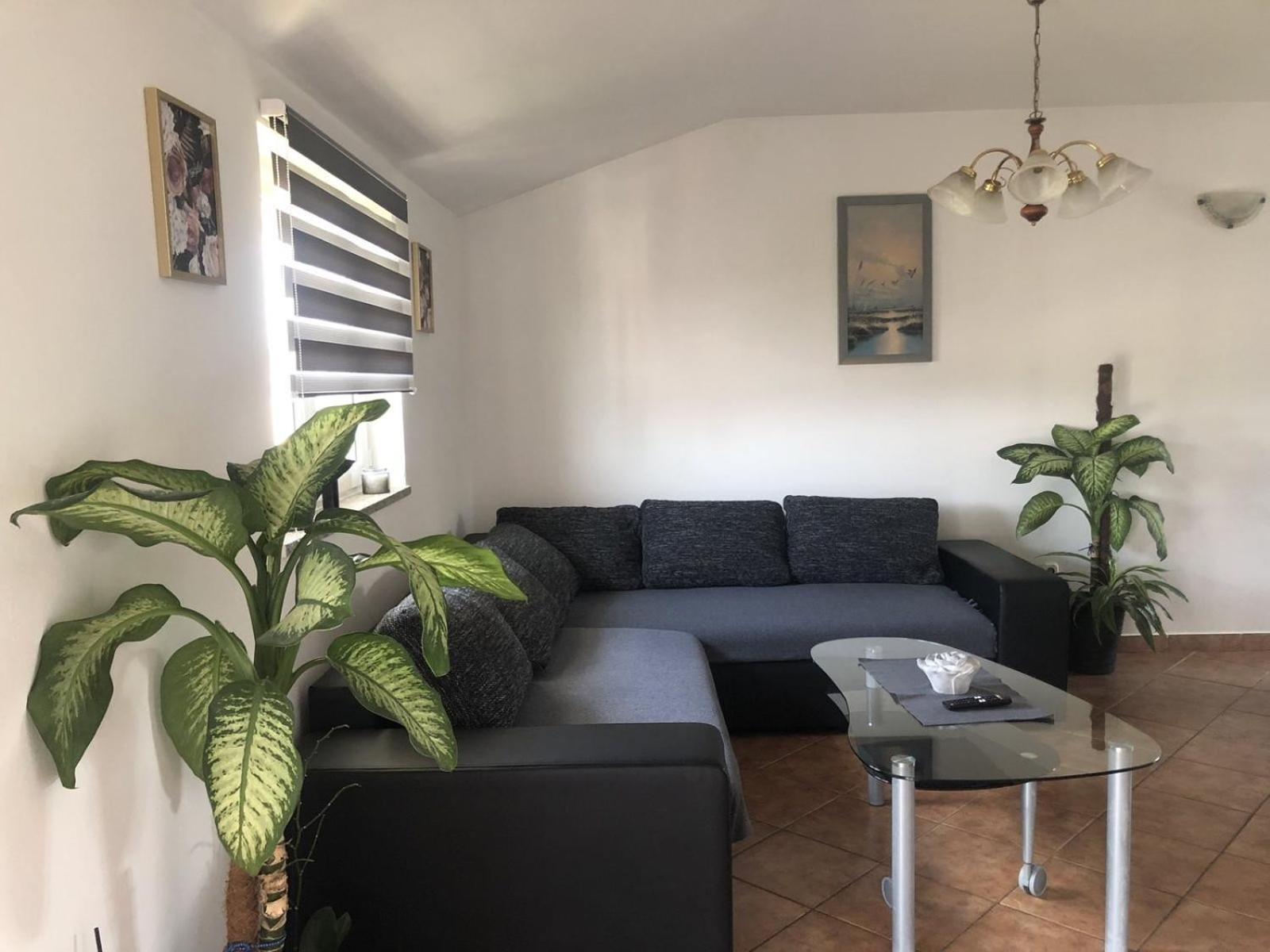 Apartman Sara Rovinj Zewnętrze zdjęcie